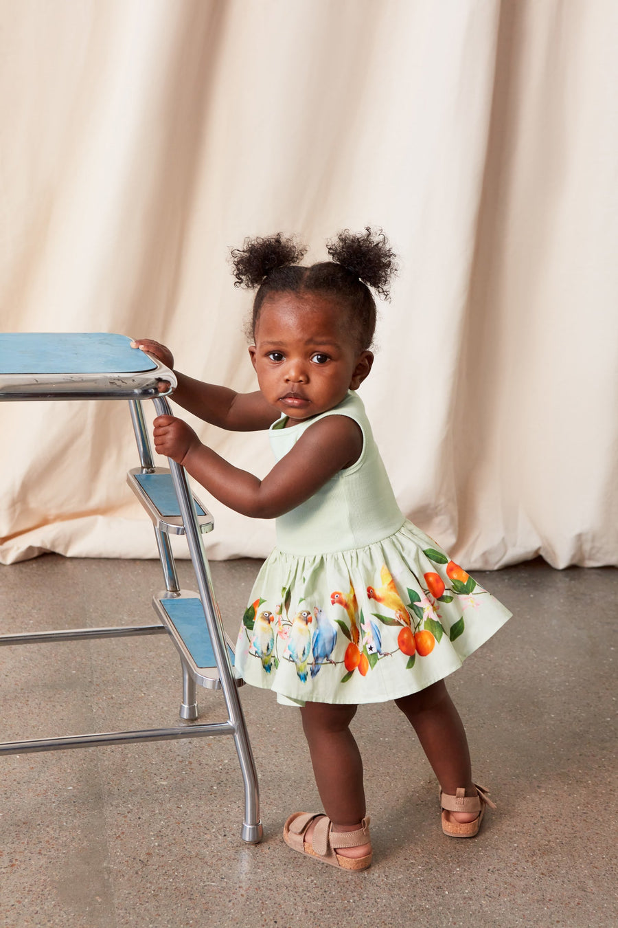 MOLO  Sweet Parakeet Cordelia Dress 4S23E113