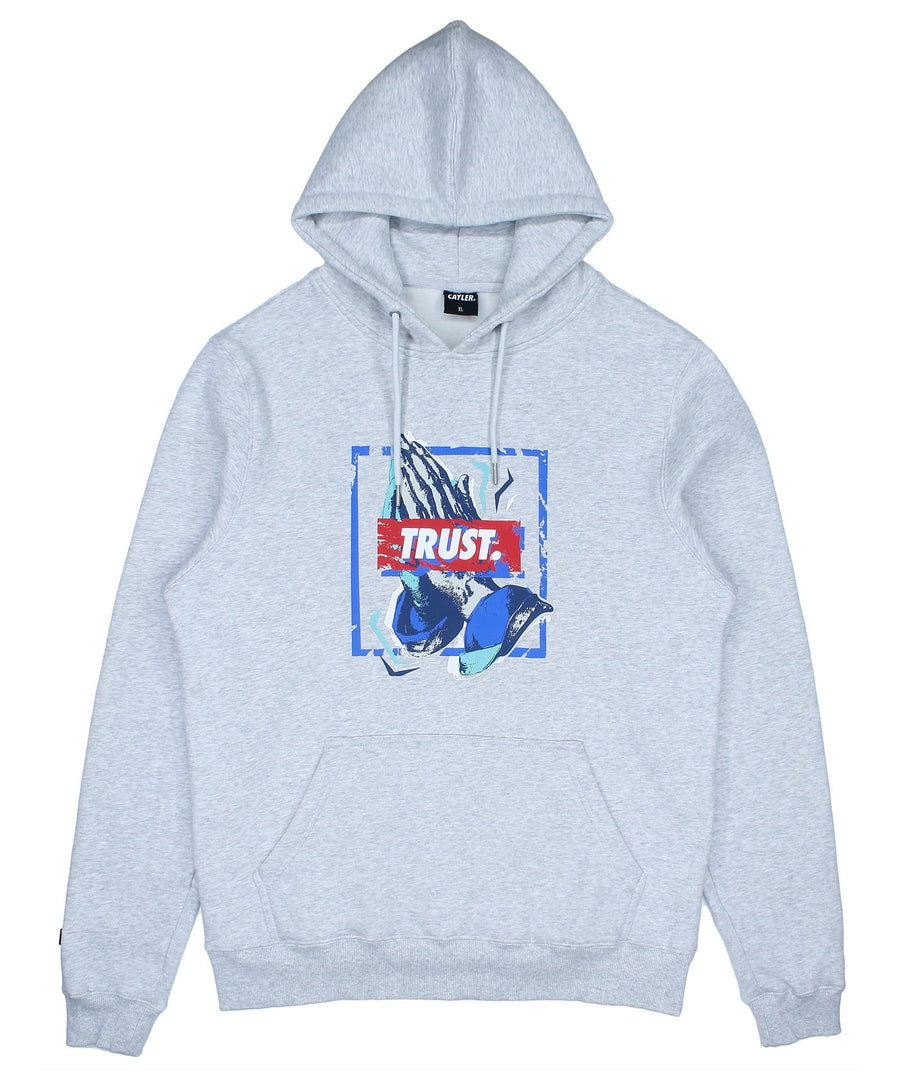 CAYLER & SONS CSWL Retro Trust Hoody CS2081