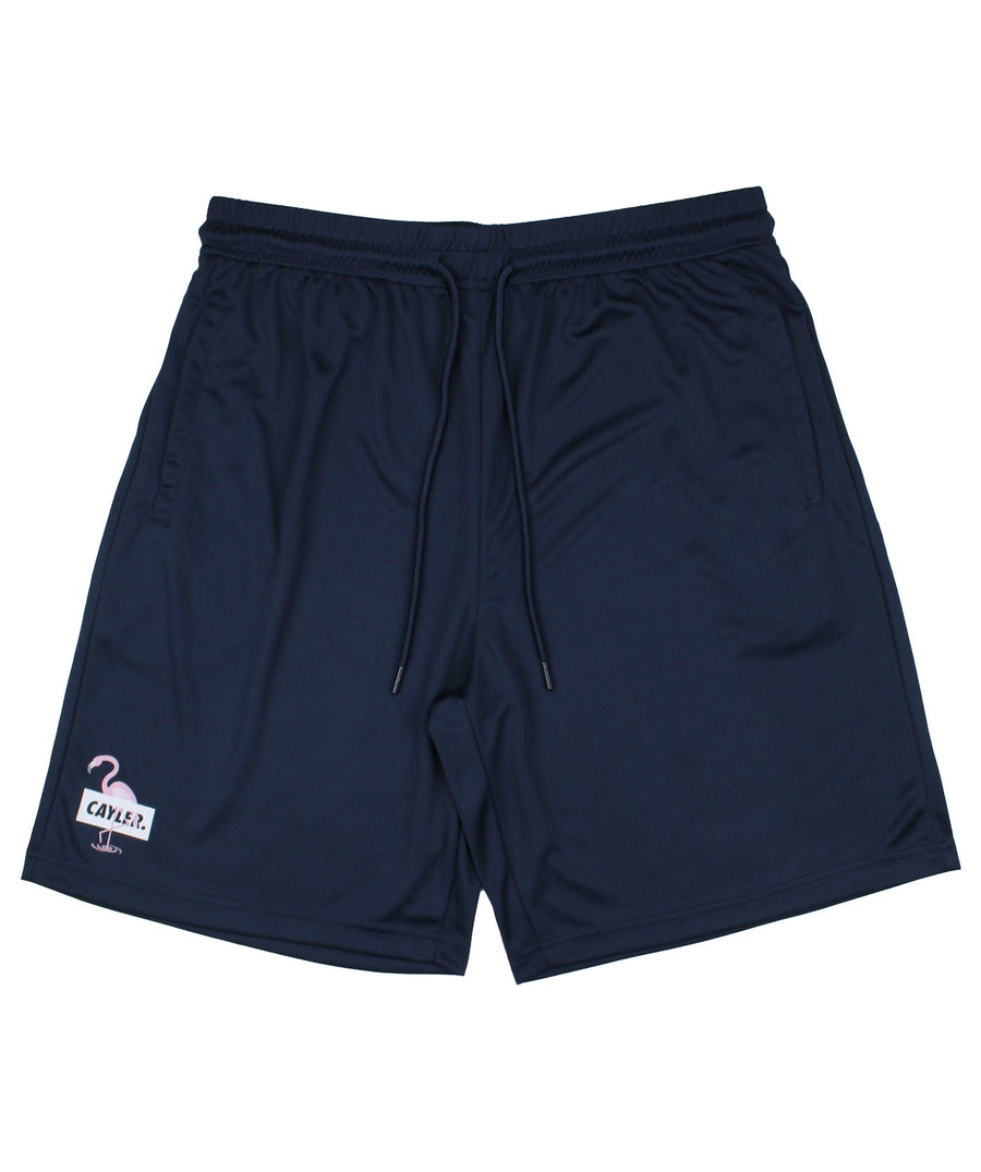 CAYLER & SONS  C&S WL Camingo Meshshorts WL-SS19-AP-48