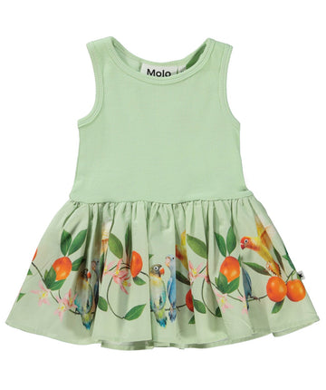 MOLO  Sweet Parakeet Cordelia Dress 4S23E113