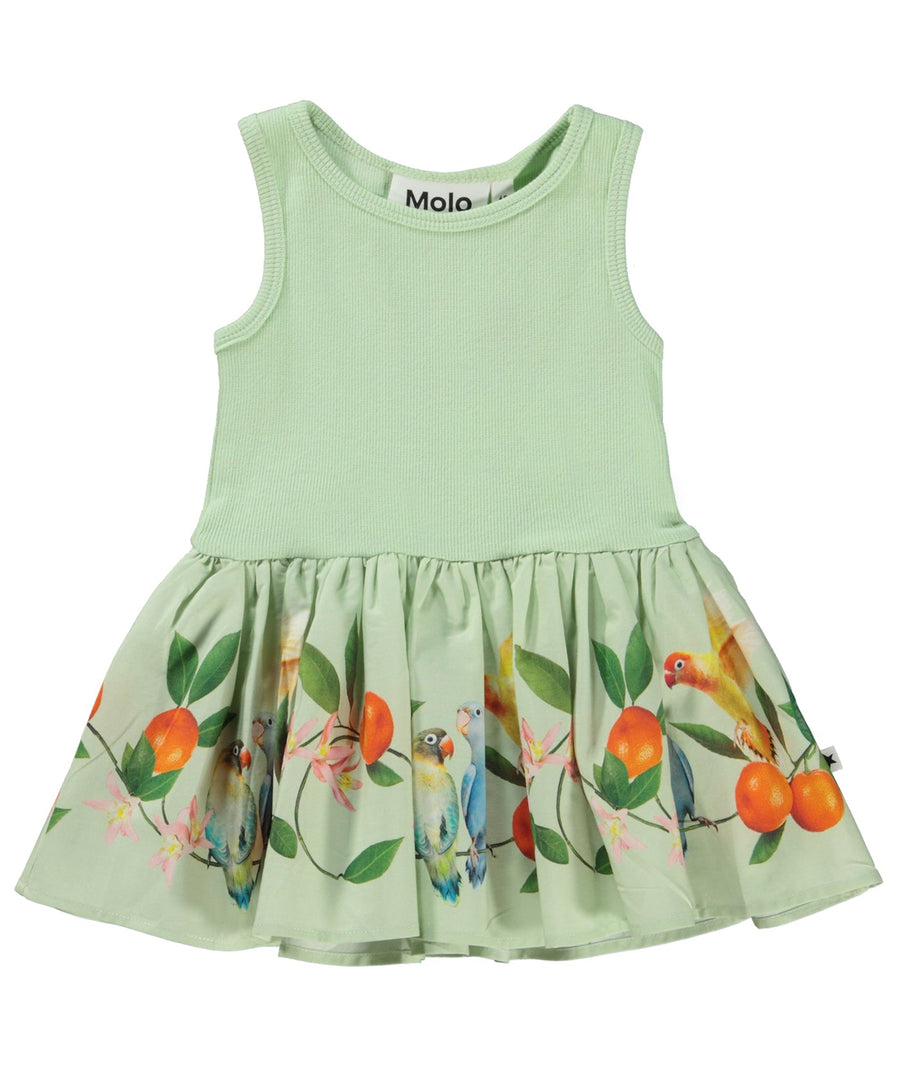 MOLO  Sweet Parakeet Cordelia Dress 4S23E113
