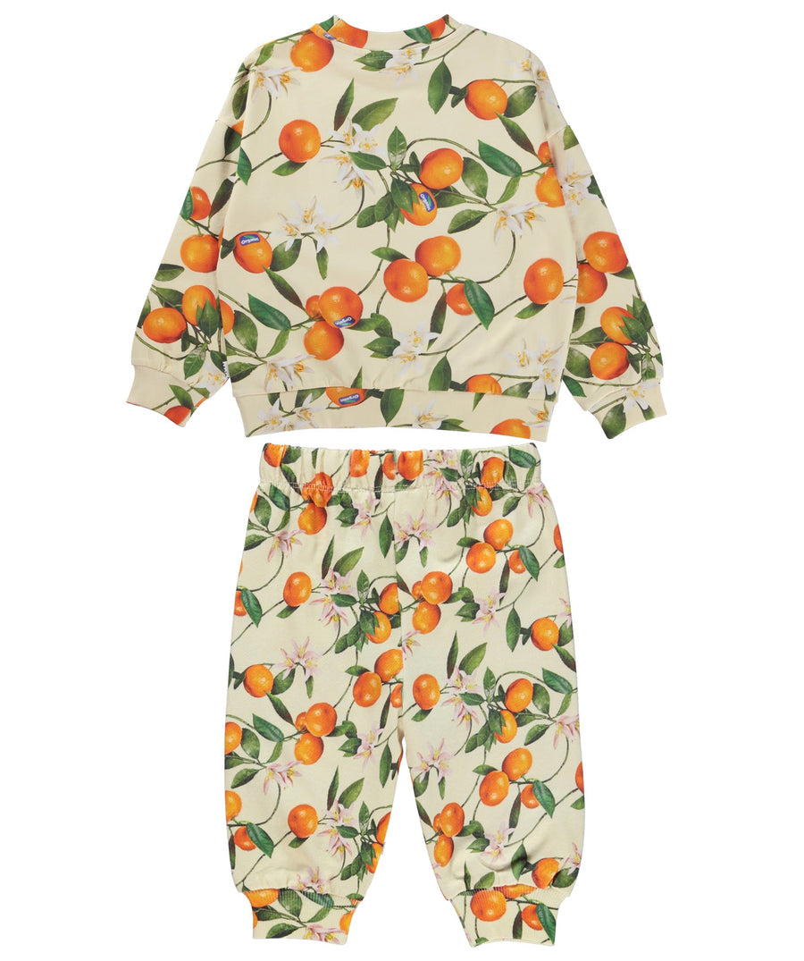 MOLO  Mini Mandarin Jogging Suit 6S23J202/6S23I203