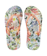 MOLO  Passion for Life Zeppo Flip Flops 7S23U201