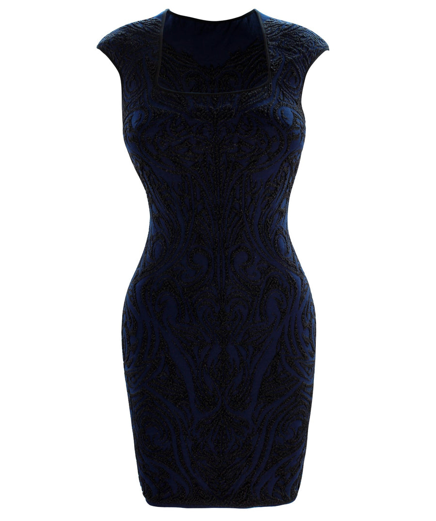 RVN  Phoenix Embroidered Jacquard Dress 204RVNKD31